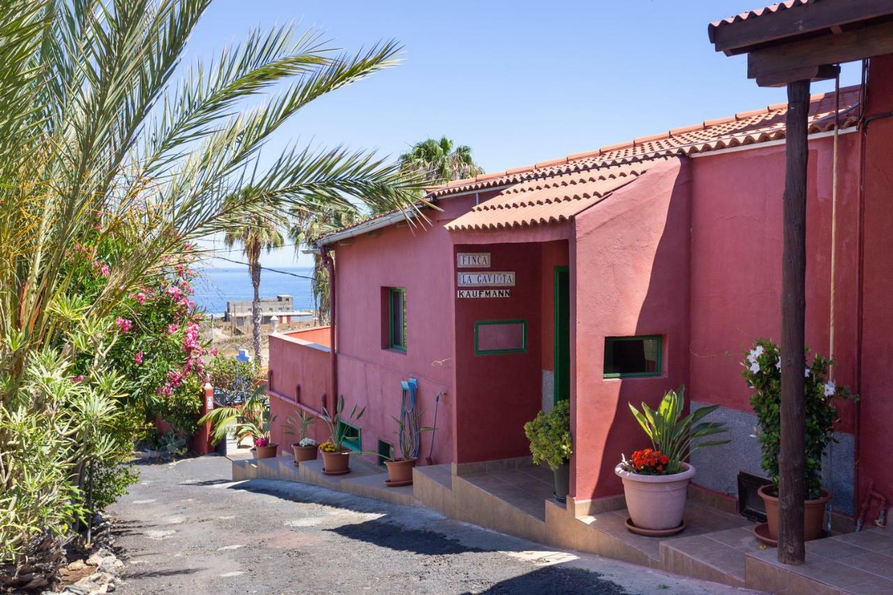 Hébergement de vacances La Gaviota - Palmeras Icod De Los Vinos